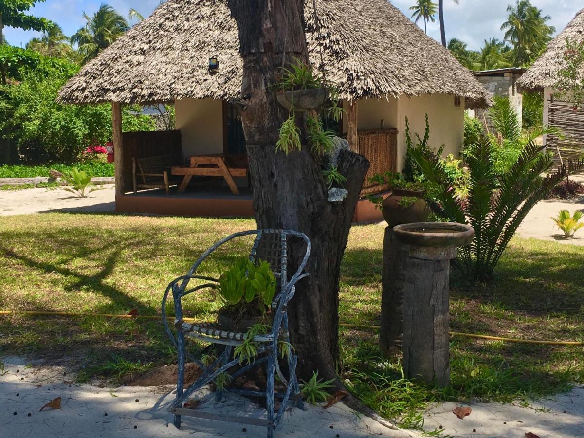 Driftwood Beach Lodge ジャンビアニ エクステリア 写真