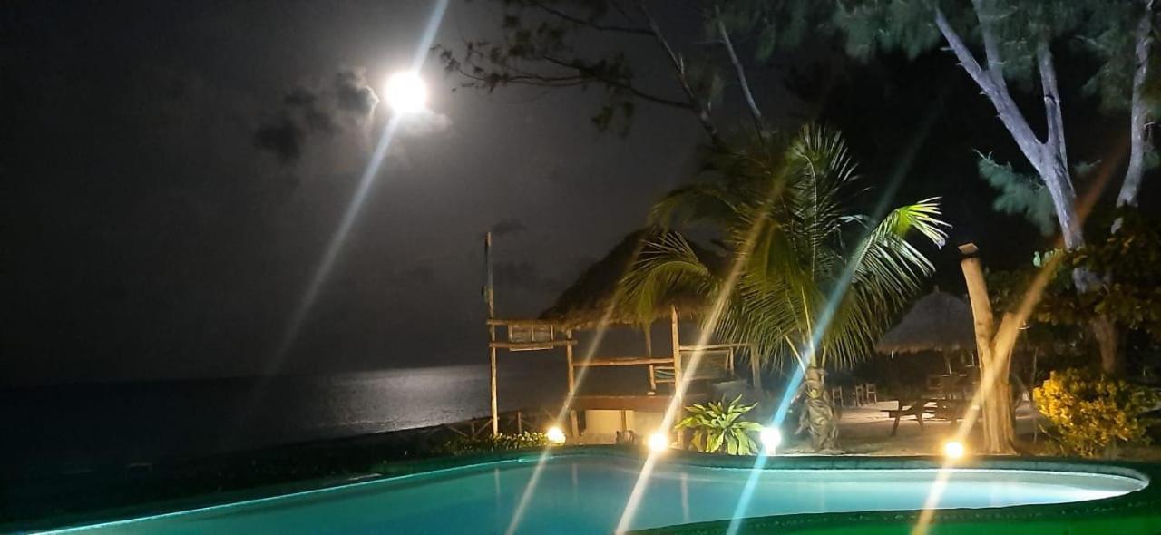 Driftwood Beach Lodge ジャンビアニ エクステリア 写真