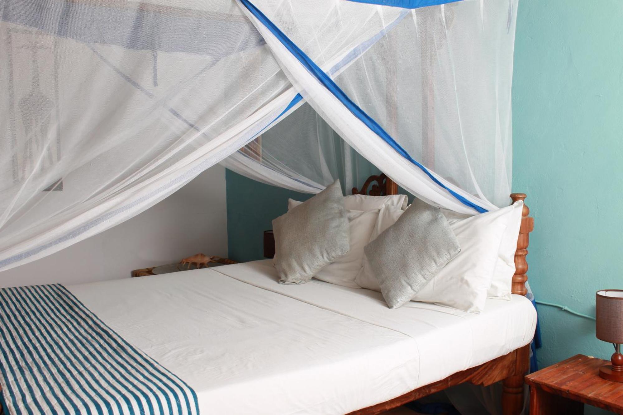 Driftwood Beach Lodge ジャンビアニ エクステリア 写真