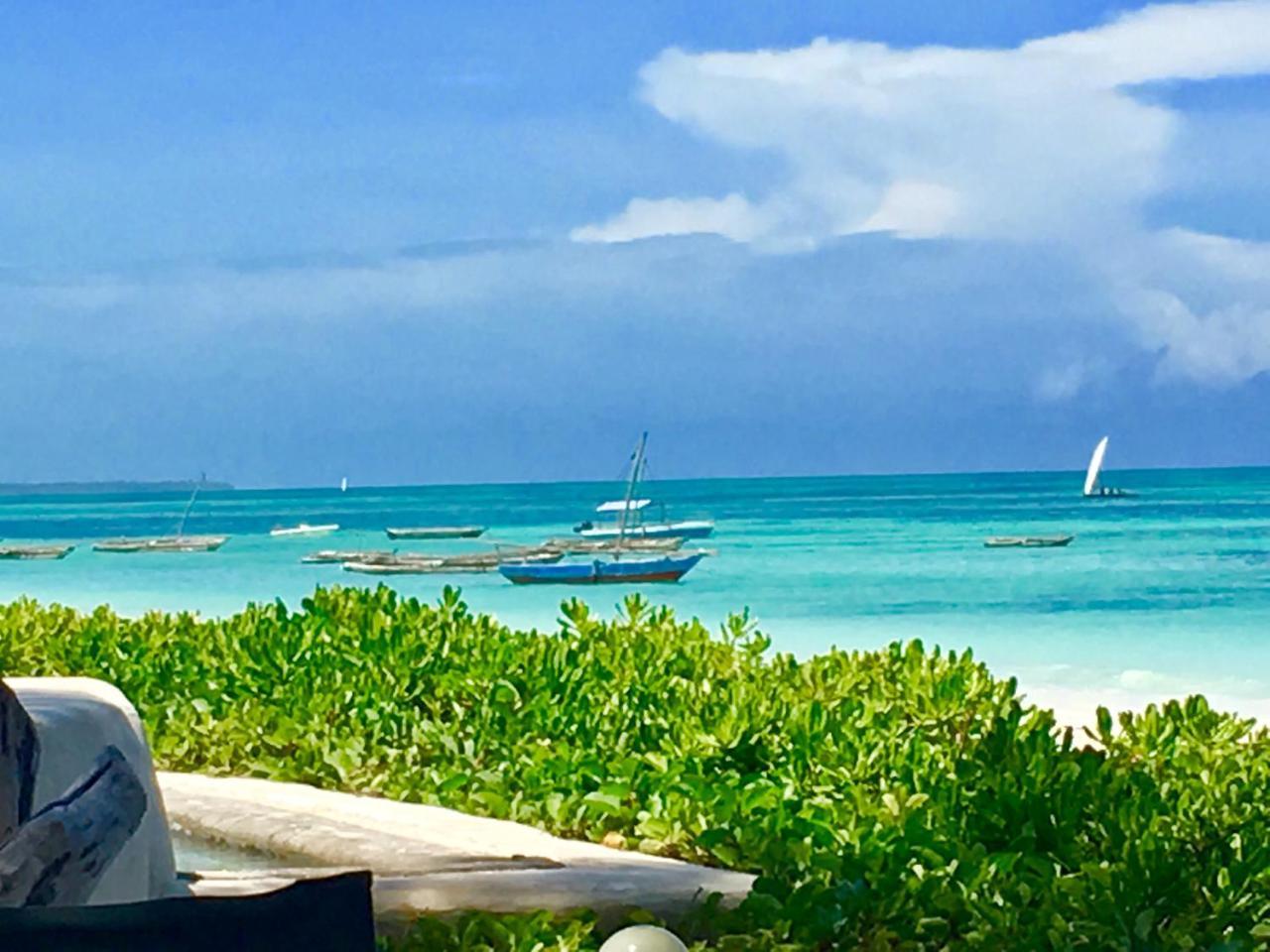 Driftwood Beach Lodge ジャンビアニ エクステリア 写真