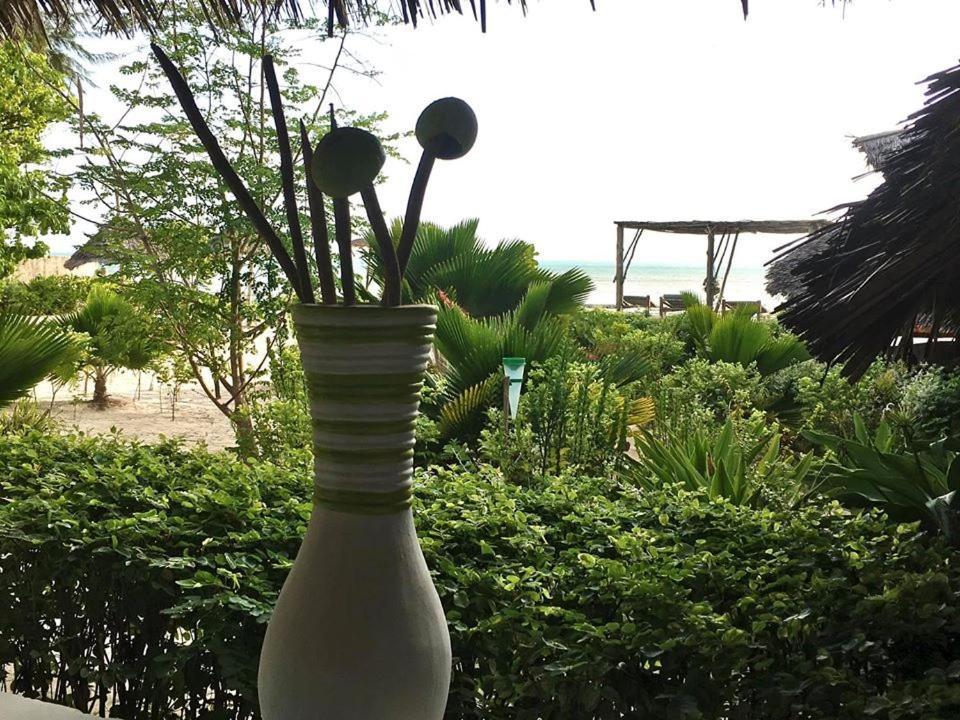 Driftwood Beach Lodge ジャンビアニ エクステリア 写真